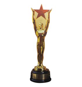 Golden trophy with star on black base.
