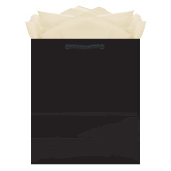Medium Glossy Black Gift Bag 8"x9.5"