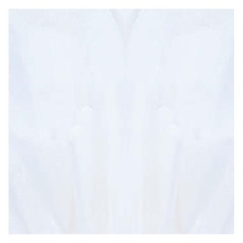 White Solid Tissue