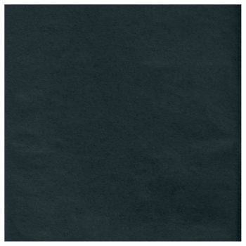 Black Solid Tissue 8ct