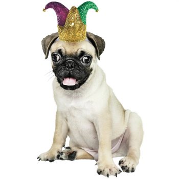 Mardi Gras Jester Pet Hat XS/S