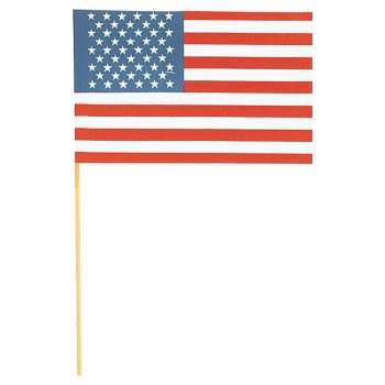 Small American flag on a stick with 50 stars and 13 stripes.