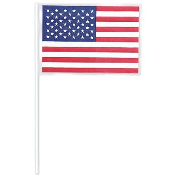 Small American flag on a white stick.