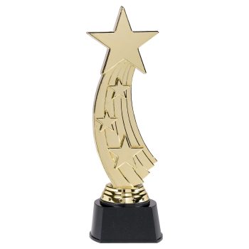 Golden star trophy with a black base.