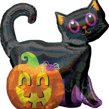 Black cat and pumpkin with spider decoration.