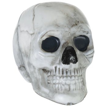 White skull with black stone eyes.