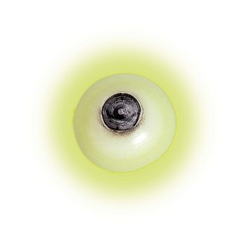 Glow-In-The-Dark Squishy Eyeball 12ct