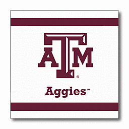Texas A&M Aggies logo with maroon text and stripes on white background.