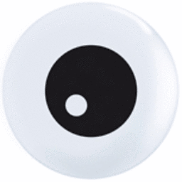 A single black and white googly eye with a small black pupil inside.