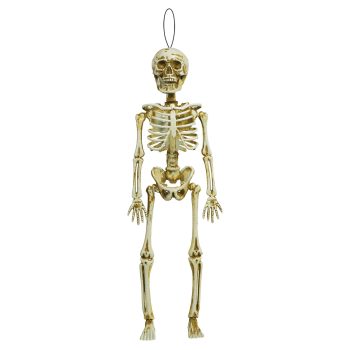 Hanging Plain Skeleton