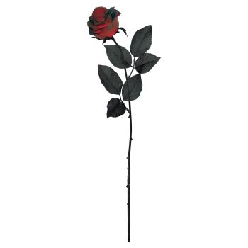 Blood Red Rose