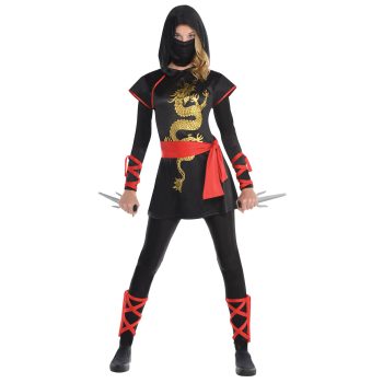 Ninja costume with dragon design and weapons.