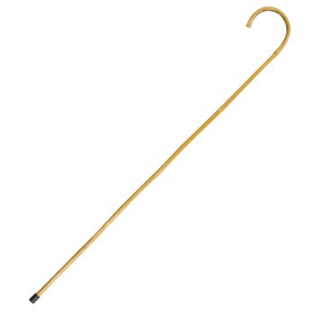 Curved wooden walking cane on white background.
