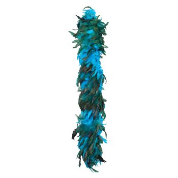 Blue and green feather boa accessory.
