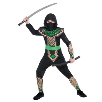 Dragon Slayer Ninja Child Costume