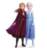 Anna and Elsa standing together in winter attire.